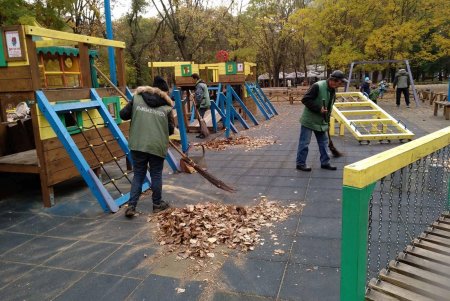 Вдоль парка Шевченко озеленители высадили живую изгородь из кустарников (фото)