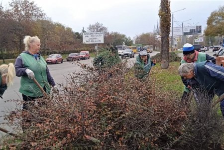 Вдоль парка Шевченко озеленители высадили живую изгородь из кустарников (фото)