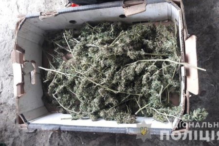 У юного жителя Одесской области нашли 4,5 килограмма конопли, а у другого нарушителя — безакцизные сигареты и алкоголь (фото)