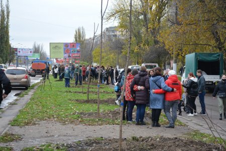 В рамках акции «1000 белых акаций» на поселке Котовского высадили еще 25 деревьев (фото)