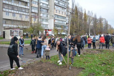 Дети и взрослые высадили деревья на поселке Котовского в рамках акции «1000 белых акаций» (фоторепортаж)