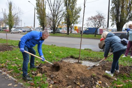 Дети и взрослые высадили деревья на поселке Котовского в рамках акции «1000 белых акаций» (фоторепортаж)