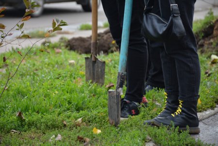 Дети и взрослые высадили деревья на поселке Котовского в рамках акции «1000 белых акаций» (фоторепортаж)