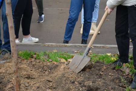 Дети и взрослые высадили деревья на поселке Котовского в рамках акции «1000 белых акаций» (фоторепортаж)