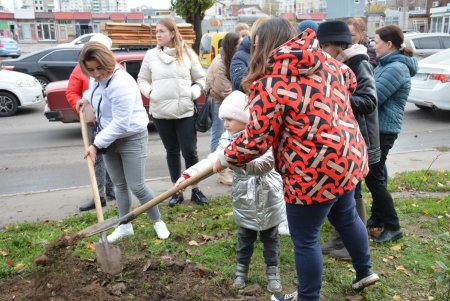 Дети и взрослые высадили деревья на поселке Котовского в рамках акции «1000 белых акаций» (фоторепортаж)