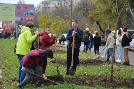 Дети и взрослые высадили деревья на поселке Котовского в рамках акции «1000 белых акаций» (фоторепортаж)