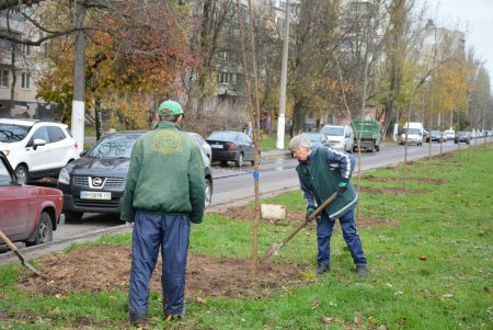 Дети и взрослые высадили деревья на поселке Котовского в рамках акции «1000 белых акаций» (фоторепортаж)