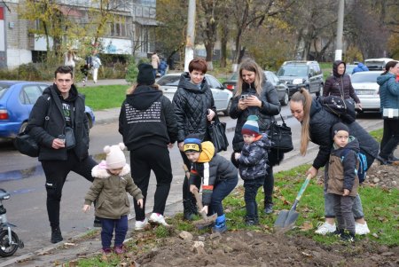 Дети и взрослые высадили деревья на поселке Котовского в рамках акции «1000 белых акаций» (фоторепортаж)