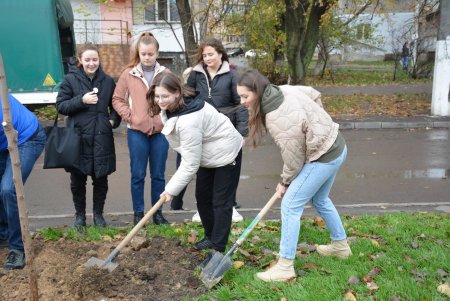 Дети и взрослые высадили деревья на поселке Котовского в рамках акции «1000 белых акаций» (фоторепортаж)