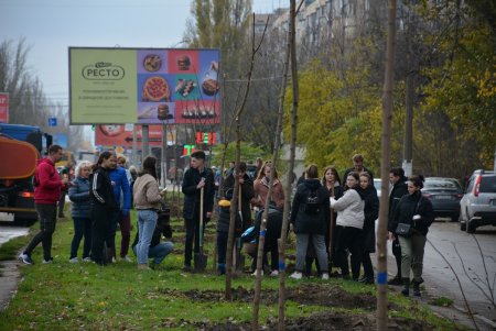 Дети и взрослые высадили деревья на поселке Котовского в рамках акции «1000 белых акаций» (фоторепортаж)