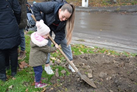 Дети и взрослые высадили деревья на поселке Котовского в рамках акции «1000 белых акаций» (фоторепортаж)
