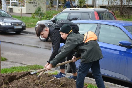 Дети и взрослые высадили деревья на поселке Котовского в рамках акции «1000 белых акаций» (фоторепортаж)