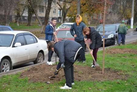 Дети и взрослые высадили деревья на поселке Котовского в рамках акции «1000 белых акаций» (фоторепортаж)