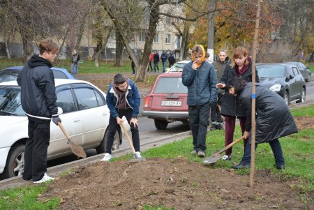 Дети и взрослые высадили деревья на поселке Котовского в рамках акции «1000 белых акаций» (фоторепортаж)