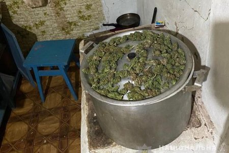 Наркогруппировка выращивала каннабис и сбывала его в Одессе крупными партиями (фото, видео)