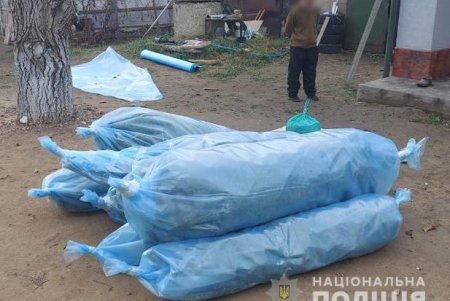 Наркогруппировка выращивала каннабис и сбывала его в Одессе крупными партиями (фото, видео)