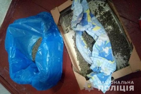 Наркогруппировка выращивала каннабис и сбывала его в Одессе крупными партиями (фото, видео)