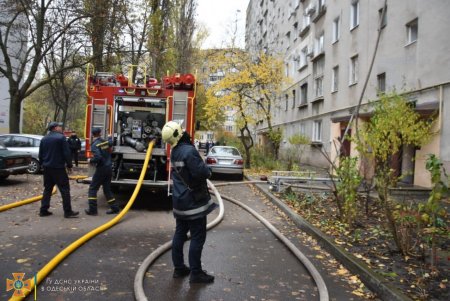 Два человека и домашние питомцы спасены во время пожара в многоэтажке на Таирова (фото)