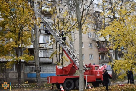 Два человека и домашние питомцы спасены во время пожара в многоэтажке на Таирова (фото)
