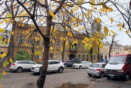 Улица Нежинская: старинные дома, брусчатка и столетние трамвайные рельсы (фоторепортаж) 
