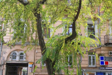 Улица Нежинская: старинные дома, брусчатка и столетние трамвайные рельсы (фоторепортаж) 