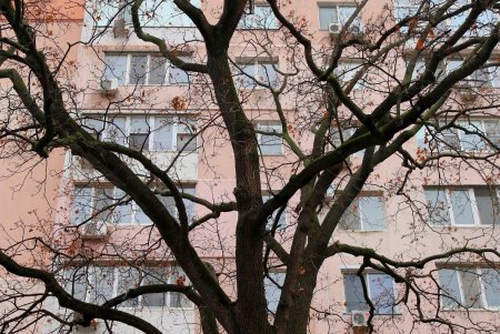 Улица Нежинская: старинные дома, брусчатка и столетние трамвайные рельсы (фоторепортаж) 