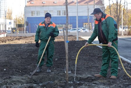 Аллею белых акаций высадили на территории Дворца детского и юношеского творчества в Киевском районе (фото)