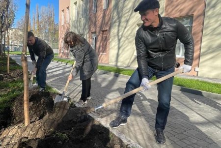 Аллею белых акаций высадили на территории Дворца детского и юношеского творчества в Киевском районе (фото)