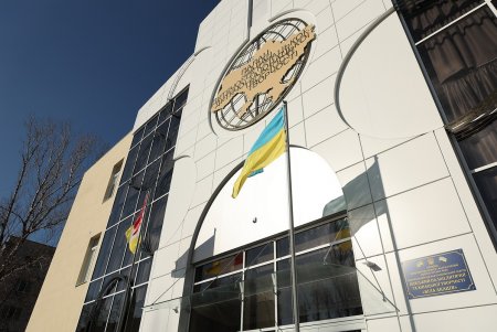 Аллею белых акаций высадили на территории Дворца детского и юношеского творчества в Киевском районе (фото)