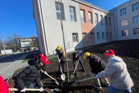 Аллею белых акаций высадили на территории Дворца детского и юношеского творчества в Киевском районе (фото)