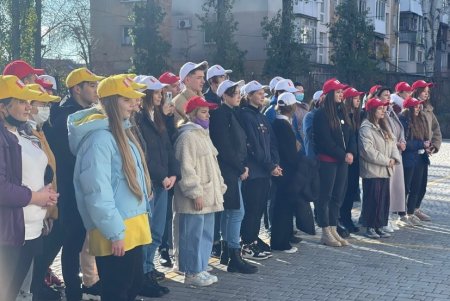 Аллею белых акаций высадили на территории Дворца детского и юношеского творчества в Киевском районе (фото)
