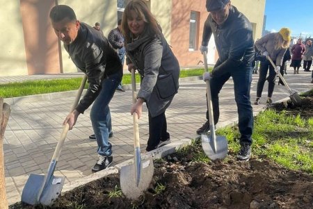 Аллею белых акаций высадили на территории Дворца детского и юношеского творчества в Киевском районе (фото)