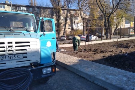 Аллею белых акаций высадили на территории Дворца детского и юношеского творчества в Киевском районе (фото)