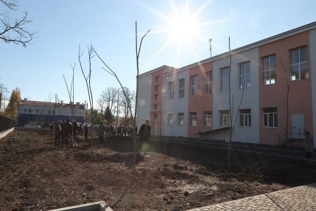 Аллею белых акаций высадили на территории Дворца детского и юношеского творчества в Киевском районе (фото)
