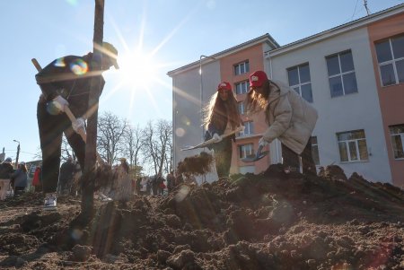 В рамках акции «1000 белых акаций» высадили деревья возле Дворца детского творчества (фоторепортаж)