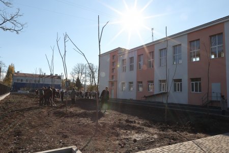 В рамках акции «1000 белых акаций» высадили деревья возле Дворца детского творчества (фоторепортаж)