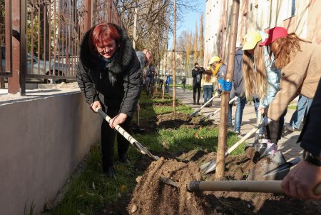 В рамках акции «1000 белых акаций» высадили деревья возле Дворца детского творчества (фоторепортаж)