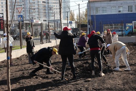 В рамках акции «1000 белых акаций» высадили деревья возле Дворца детского творчества (фоторепортаж)