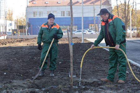 В рамках акции «1000 белых акаций» высадили деревья возле Дворца детского творчества (фоторепортаж)