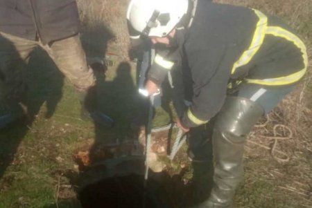 В Измаильском районе спасатели достали козу из двухметровой ямы, куда она упала во время выпаса (фото)