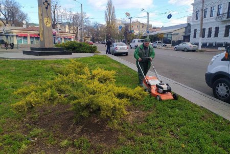 Почти 38 тысяч кустарников и деревьев озеленители высадят в разных уголках Одессы до начала зимы (фото)