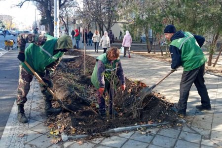 Почти 38 тысяч кустарников и деревьев озеленители высадят в разных уголках Одессы до начала зимы (фото)