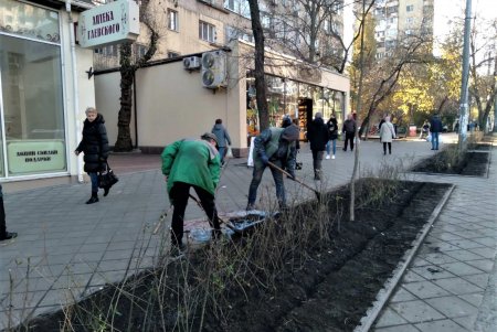 Почти 38 тысяч кустарников и деревьев озеленители высадят в разных уголках Одессы до начала зимы (фото)