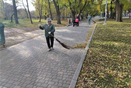 Почти 38 тысяч кустарников и деревьев озеленители высадят в разных уголках Одессы до начала зимы (фото)