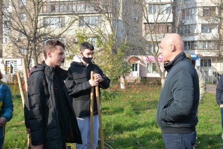 В рамках акции «1000 акаций» высадили саженцы на Семена Палия и Балковской (фоторепортаж)