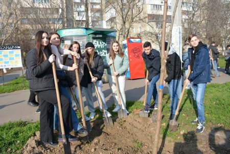 В рамках акции «1000 акаций» высадили саженцы на Семена Палия и Балковской (фоторепортаж)