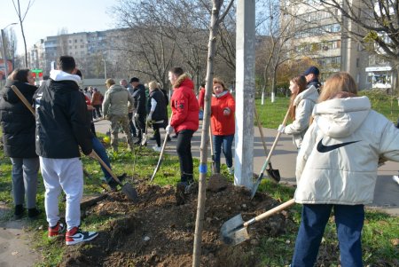В рамках акции «1000 акаций» высадили саженцы на Семена Палия и Балковской (фоторепортаж)