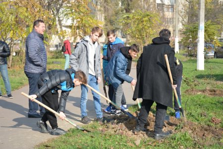 В рамках акции «1000 акаций» высадили саженцы на Семена Палия и Балковской (фоторепортаж)