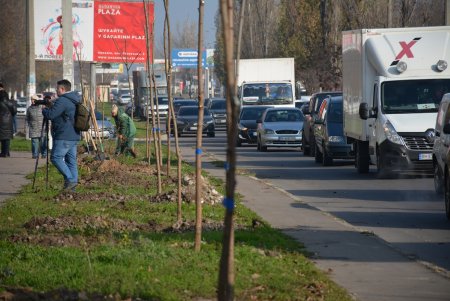 В рамках акции «1000 акаций» высадили саженцы на Семена Палия и Балковской (фоторепортаж)