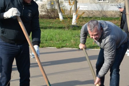 В рамках акции «1000 акаций» высадили саженцы на Семена Палия и Балковской (фоторепортаж)